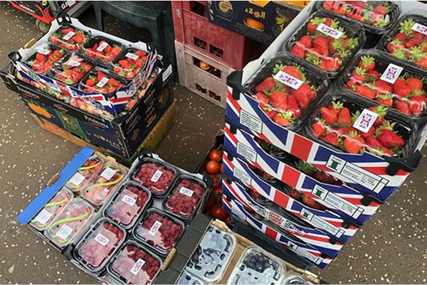 Boxes Of Berries