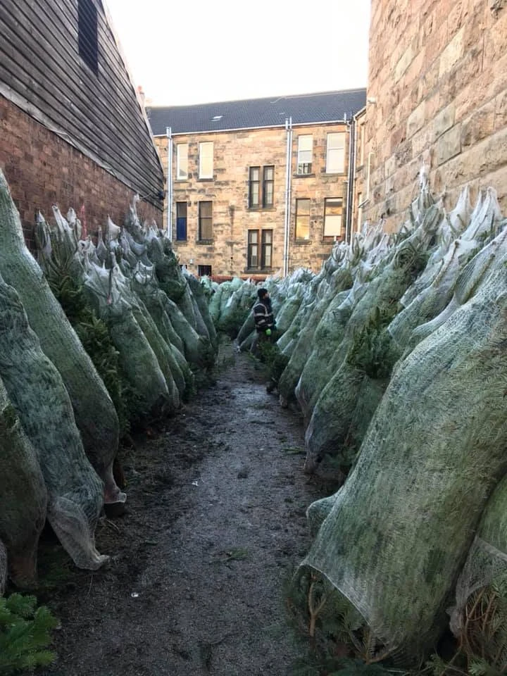 Monument Grocers Langside Trees 4