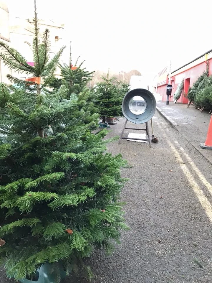 Monument Grocers Langside Trees Outside