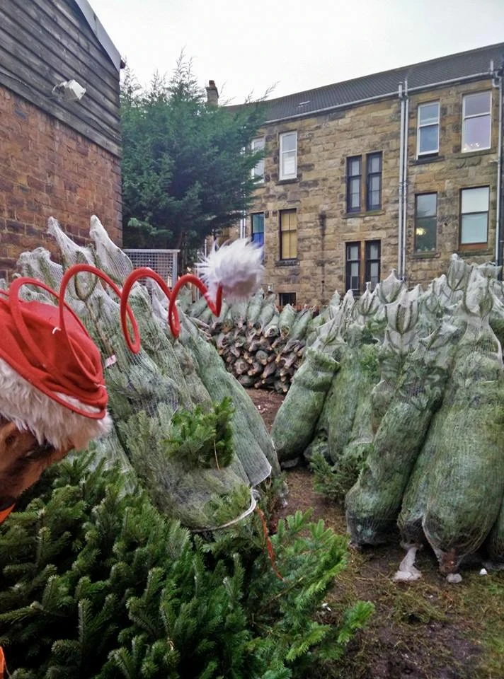 Monument Grocers Langside Trees