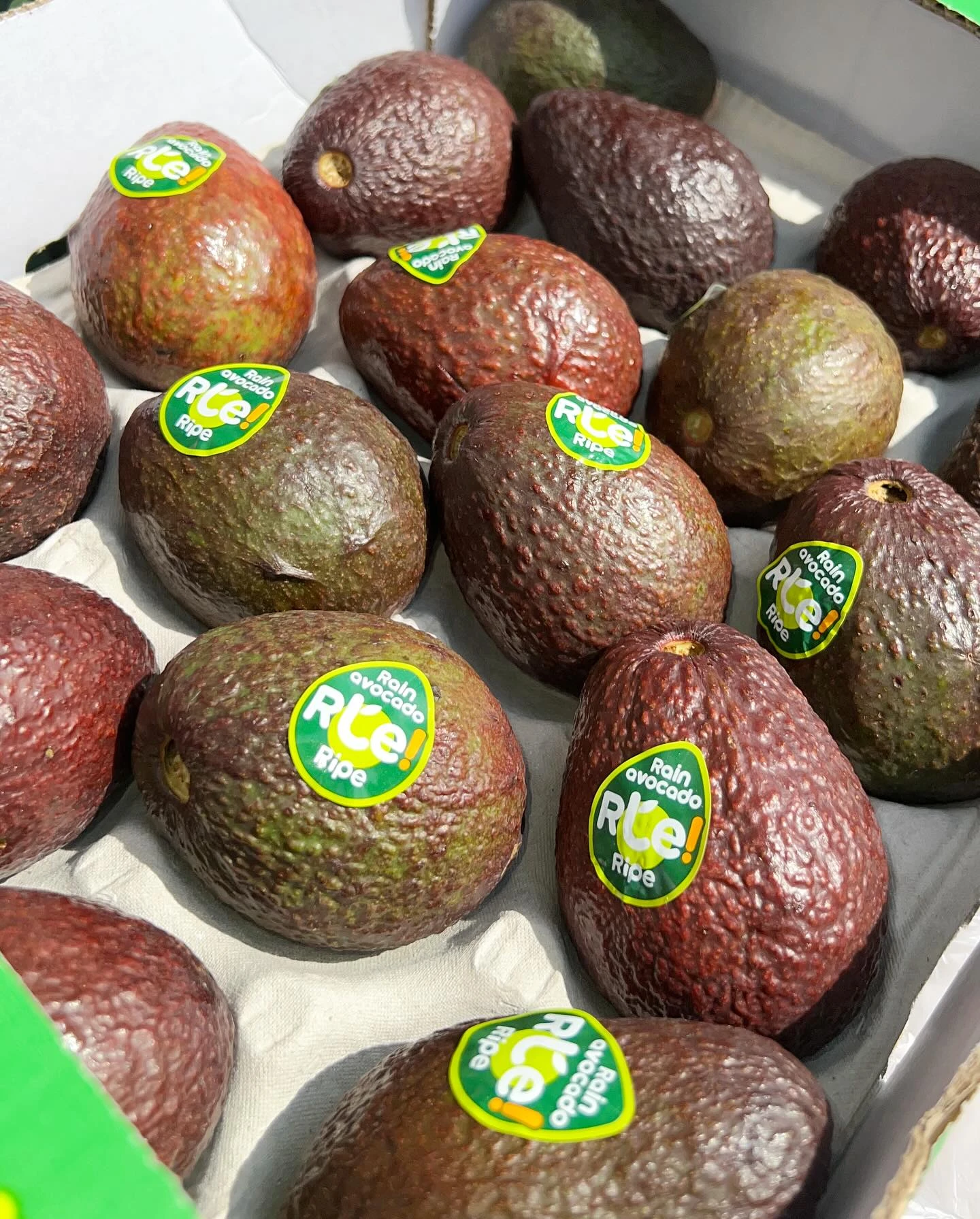 Monument Grocers Langside Avocado