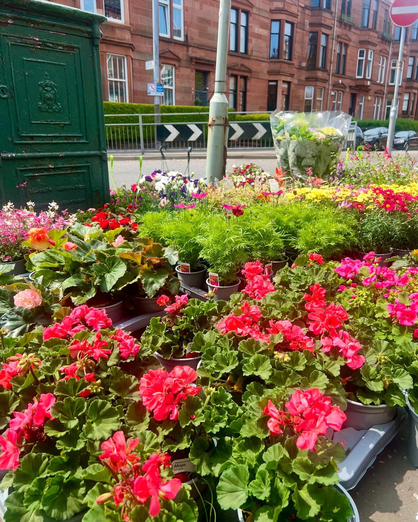Monument Grocers Langside Flowers 1