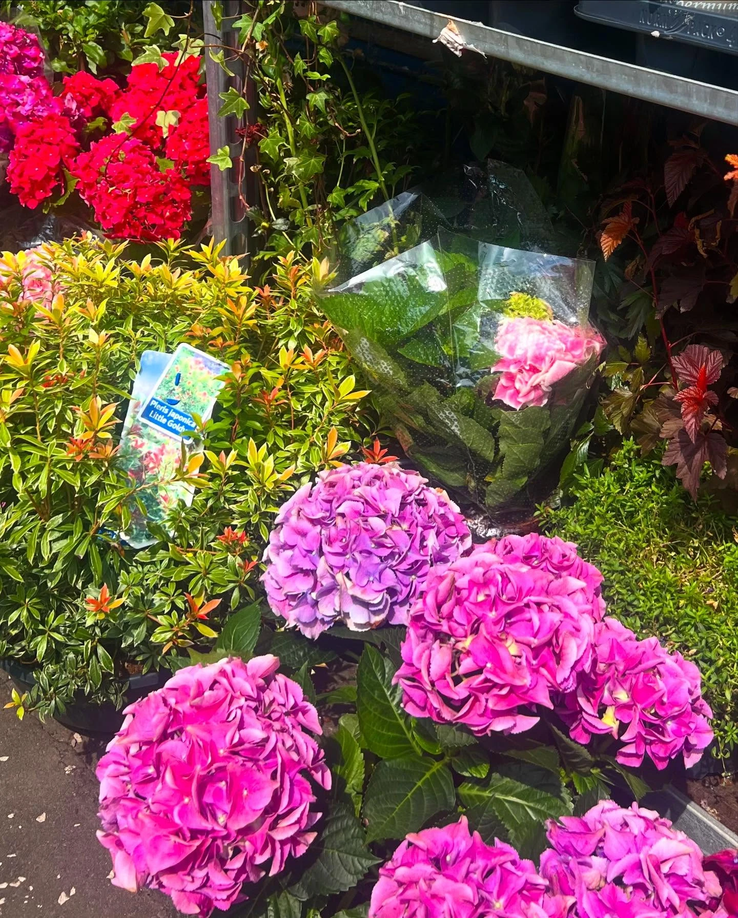 Monument Grocers Langside Flowers 2