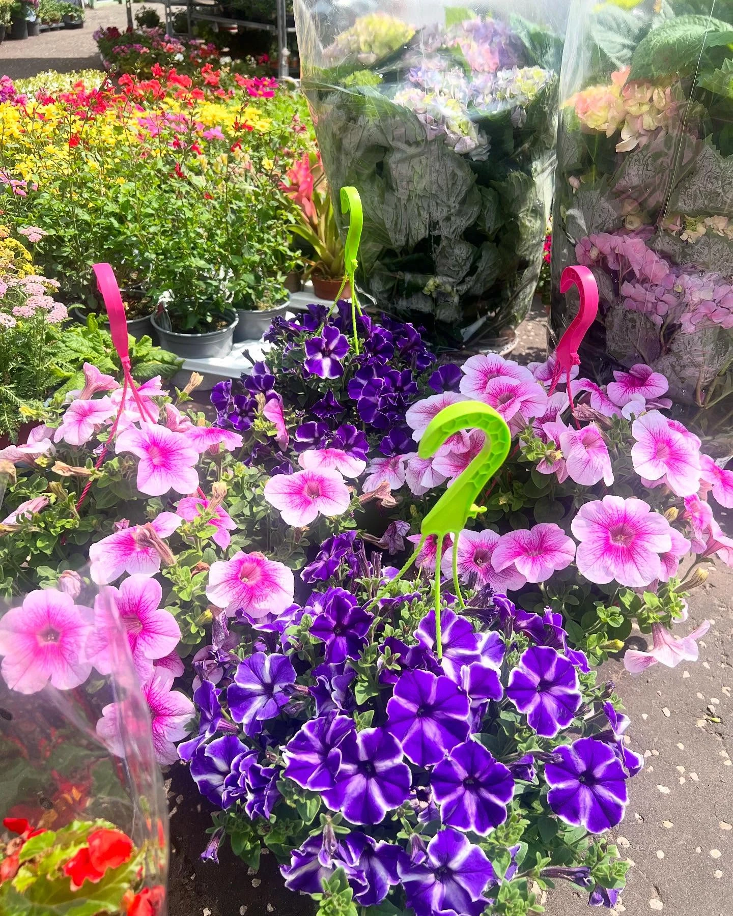 Monument Grocers Langside Flowers 3