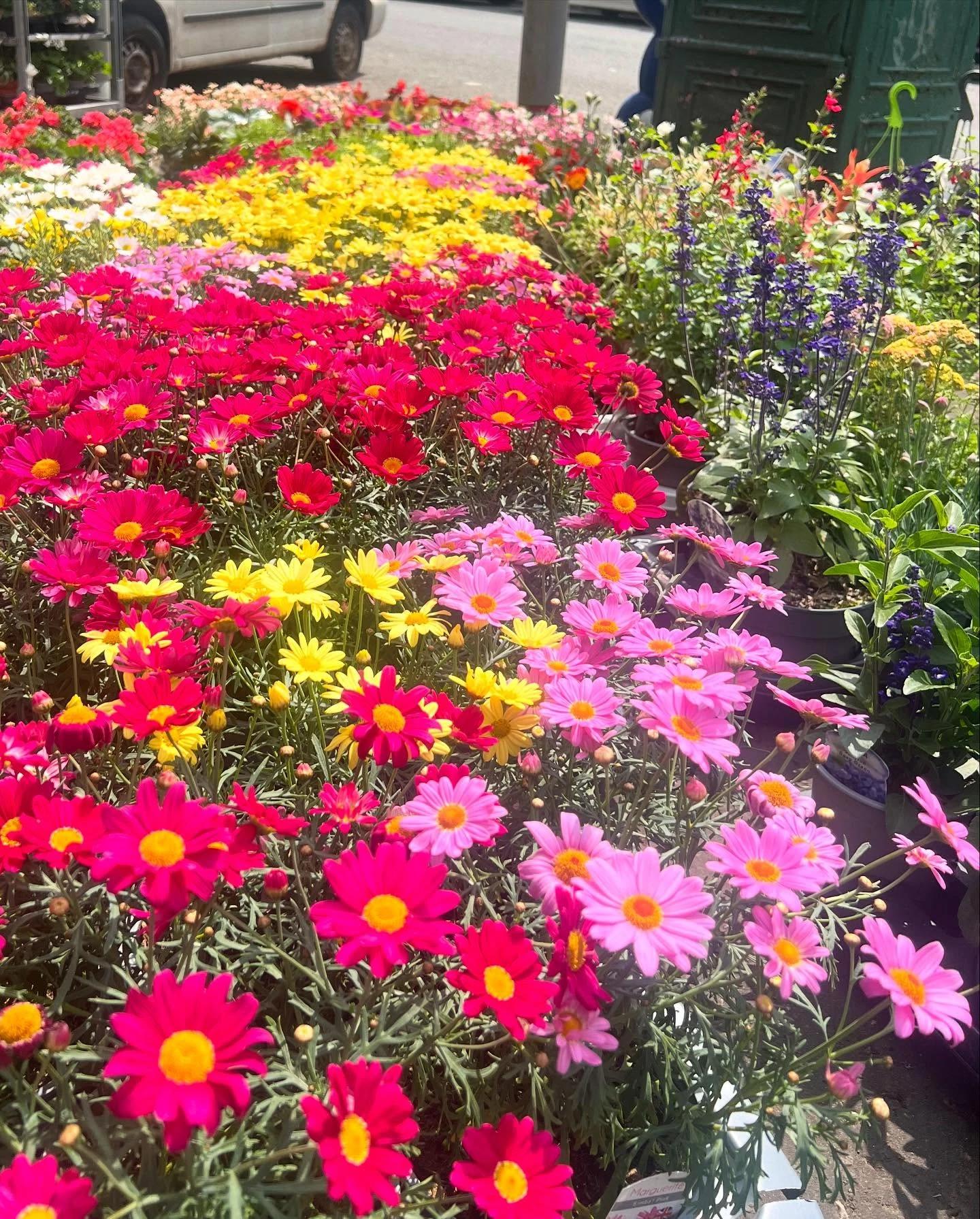 Monument Grocers Langside Flowers 4