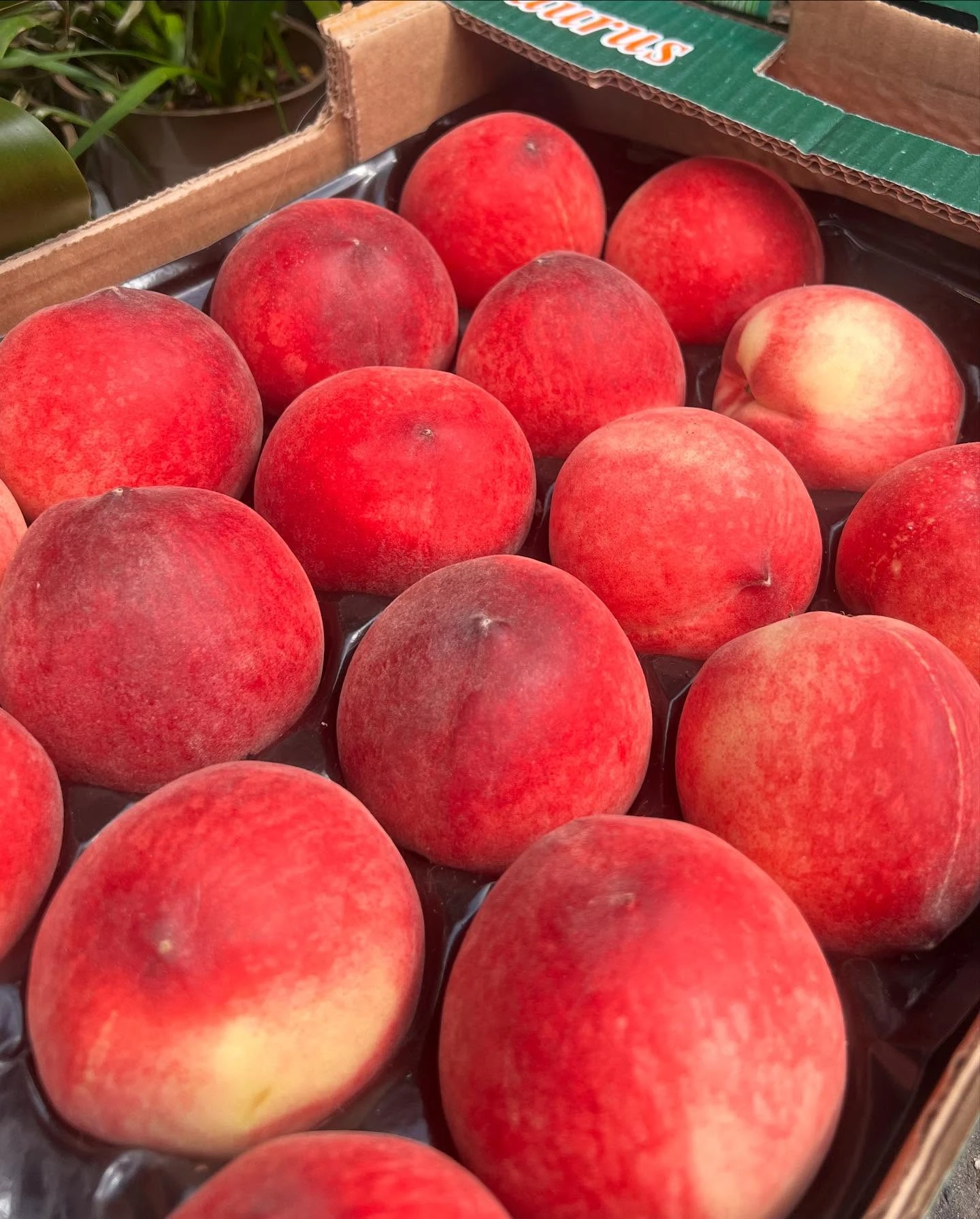 Monument Grocers Langside Peaches
