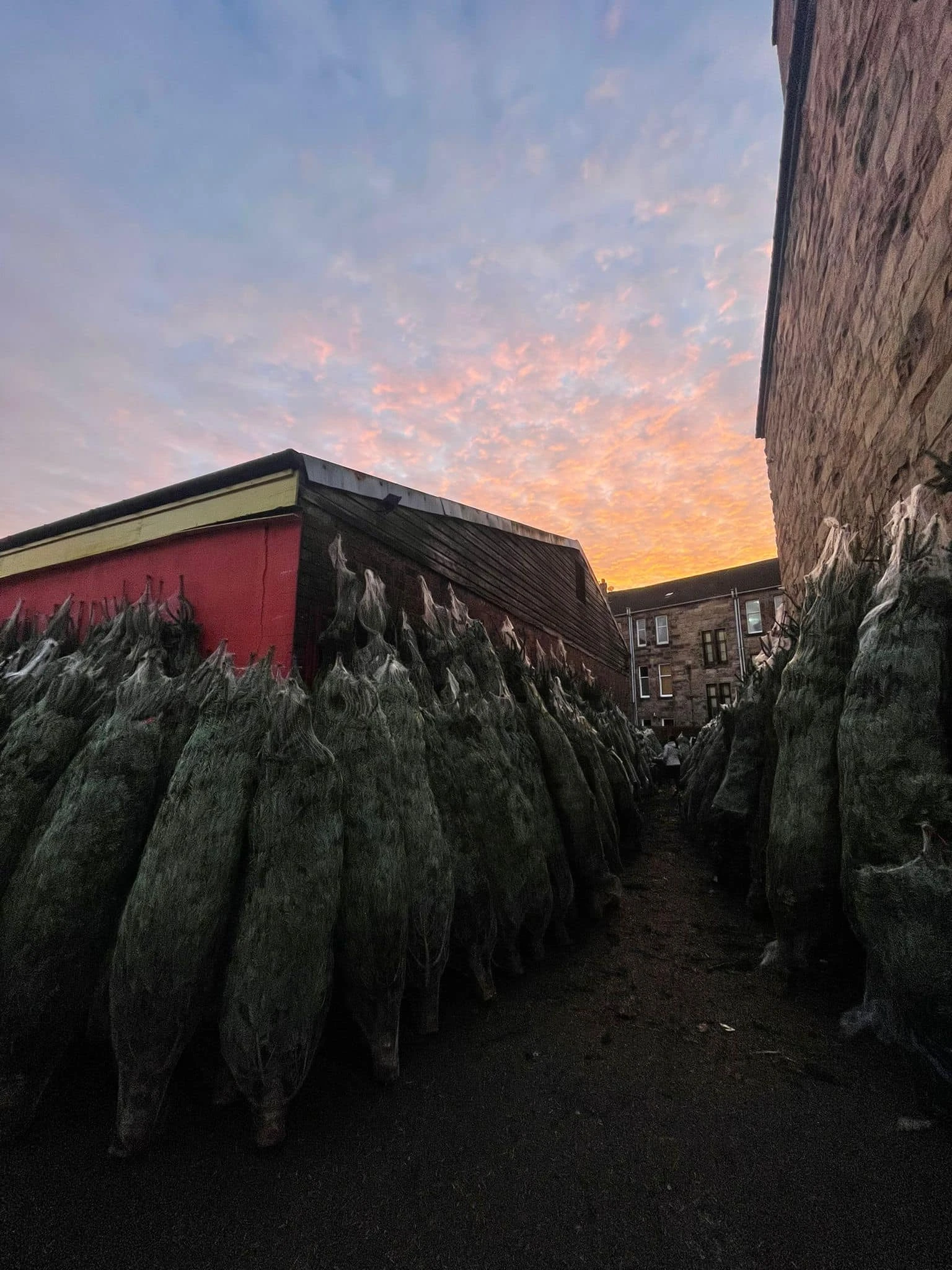 Monument Grocers Langside Trees 5
