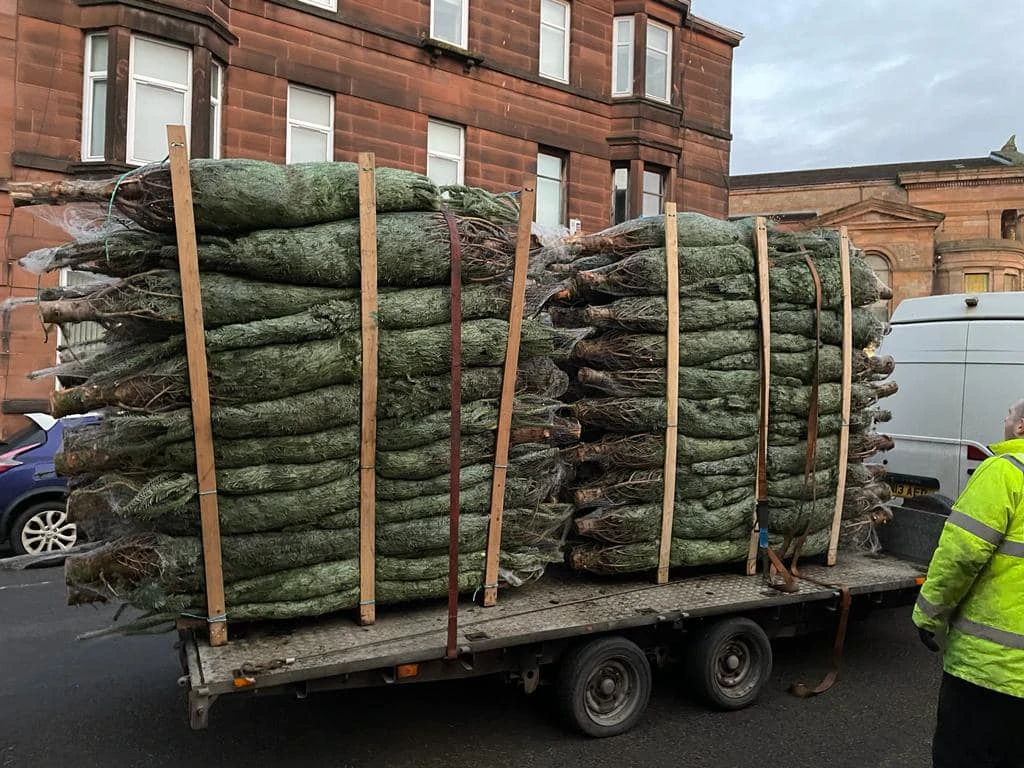 Monument Grocers Langside Trees 6