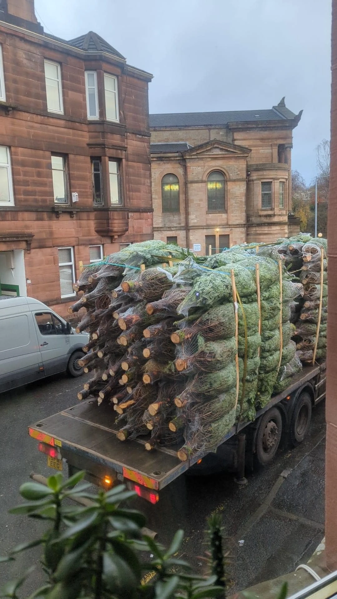 Monument Grocers Langside Trees 8