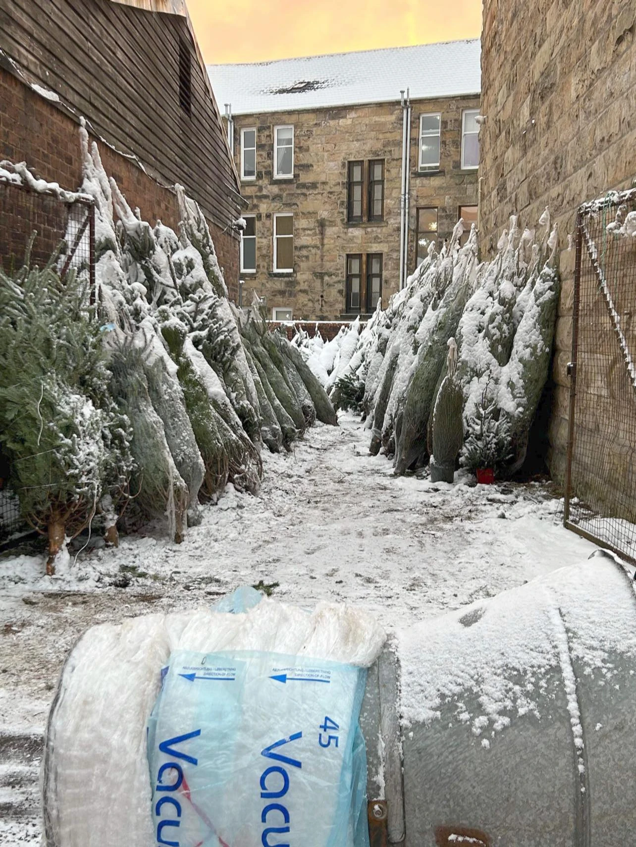 Monument Grocers Langside Trees 9